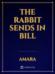 THE RABBIT SENDS IN BILL Book