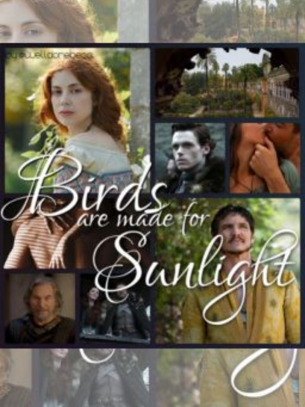 Birds Are Made For Sunlight Book