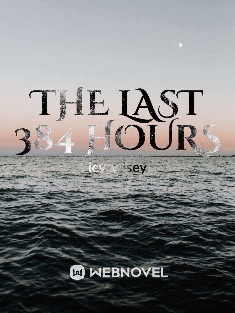 The Last 384 Hours Book