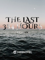 The Last 384 Hours Book