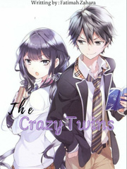 The Crazy Twins Book