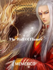 The Wall Of Flames Book