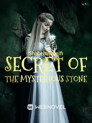 Secret of the mysterious stone Book