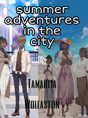 Summer  adventures in the city Book