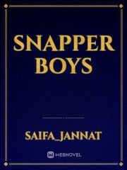 snapper boys Book
