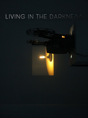 LIVING IN THE DARKNESS Book