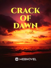 Crack of dawn Book