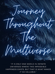 Journey Throuhout The Multiverse Book