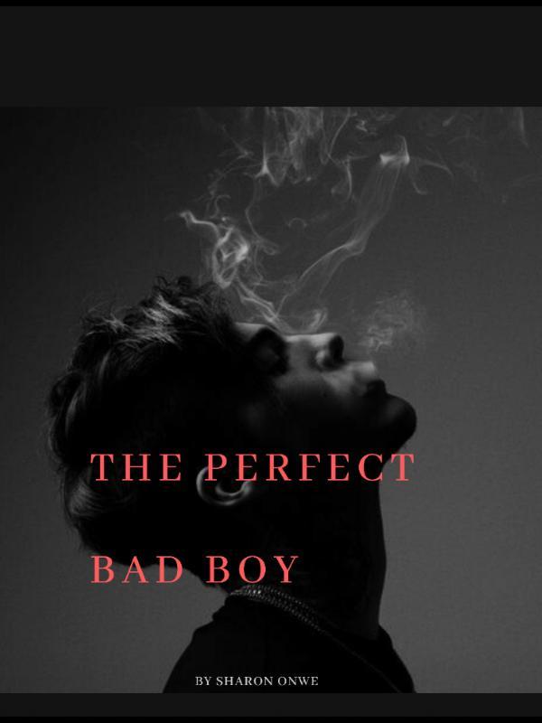 The Perfect Bad Boy Book