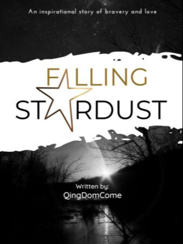 Novel moved, search "Falling Stardust" to find it. thank you!