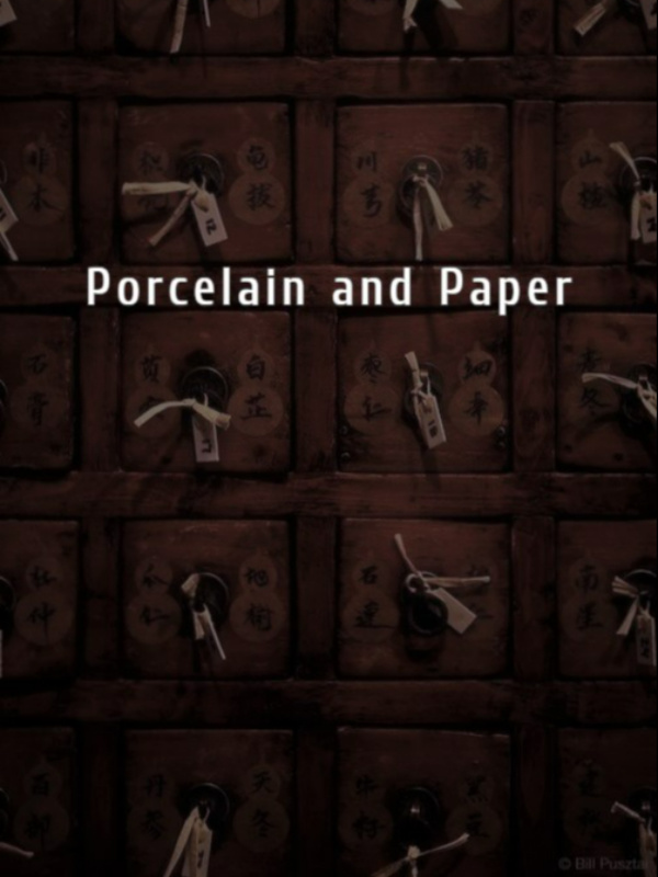 Porcelain and Paper Book