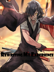 Rewriting my experience Book
