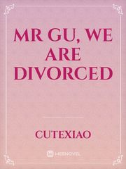 Mr Gu, We Are Divorced Book
