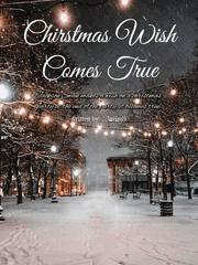 Christmas Wish Comes True Book