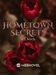 Hometown Secrets Book