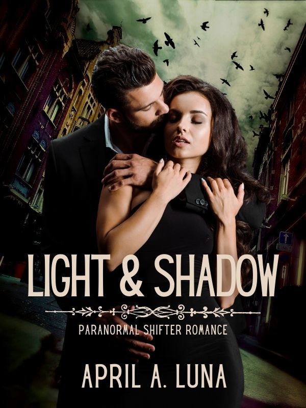 Light & Shadow Book