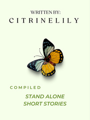CTL's Stand Alone Short Stories Book