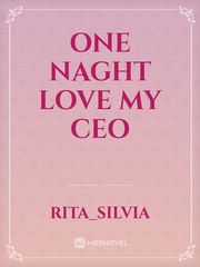 One Naght love My CEO Book