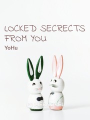 Locked Secrets From You Book