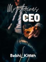 Mysterious CEO Book