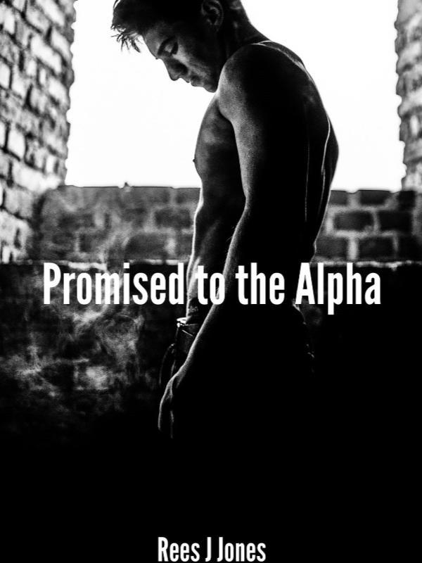 Promises To The Alpha Book