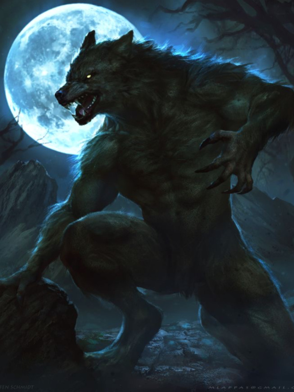 The Silver Werewolf In Teen Wolf