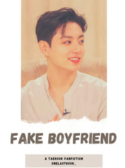 Fake Boyfriend Book