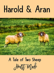 Harold and Aran Book