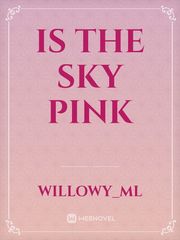 Is the sky pink Book