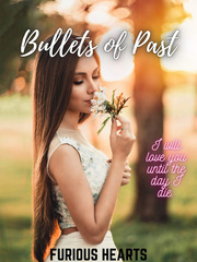 Bullets of Past Book