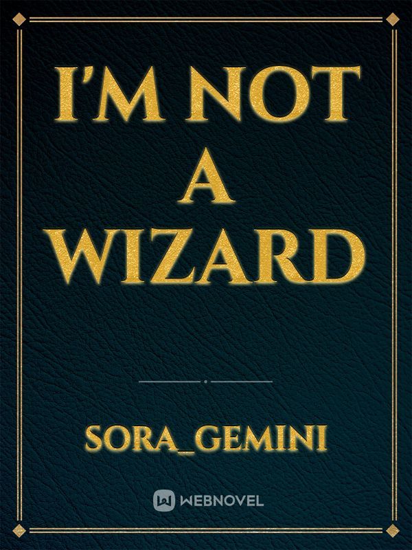 I'm not a Wizard
