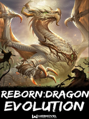 Reborn: Dragon Evolution System Book
