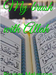 My brush with Allah Book