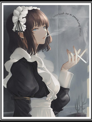 I worked as a smoking maid Book