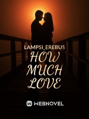 How Much Love Book
