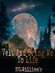 Velt: Bring Me To Life And Everything Book