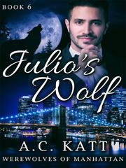 Julio's Wolf Book