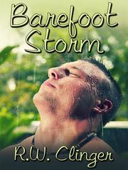 Barefoot Storm Book