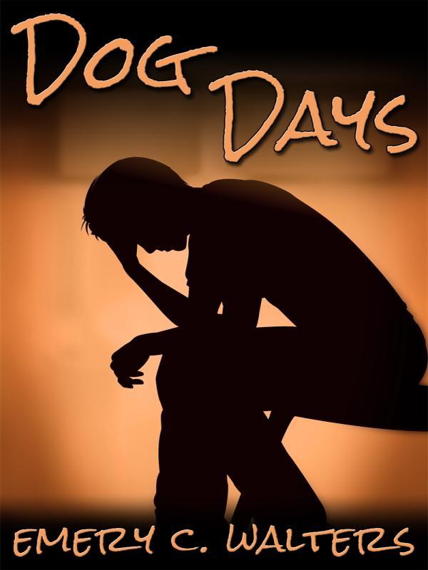 Dog Days  Light Novel 