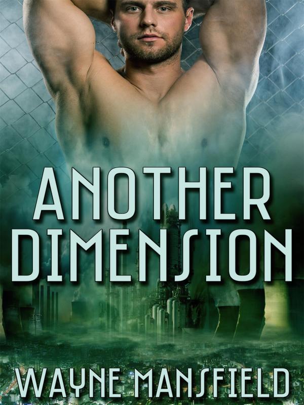 Another Dimension Book
