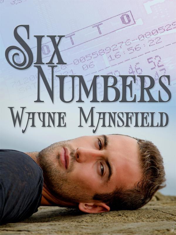 Six Numbers Book