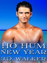 Ho Hum New Year Book