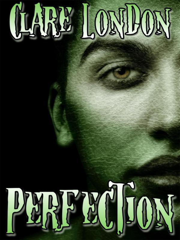 Perfection Book