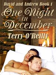David and Andrew Book 1: One Night in December Book