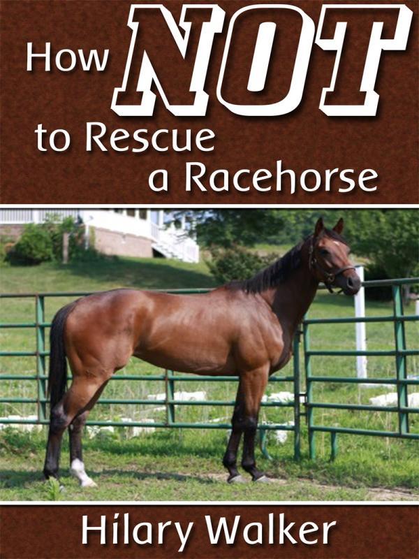 How Not to Rescue a Racehorse Book