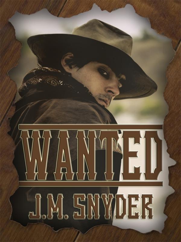 Wanted Book