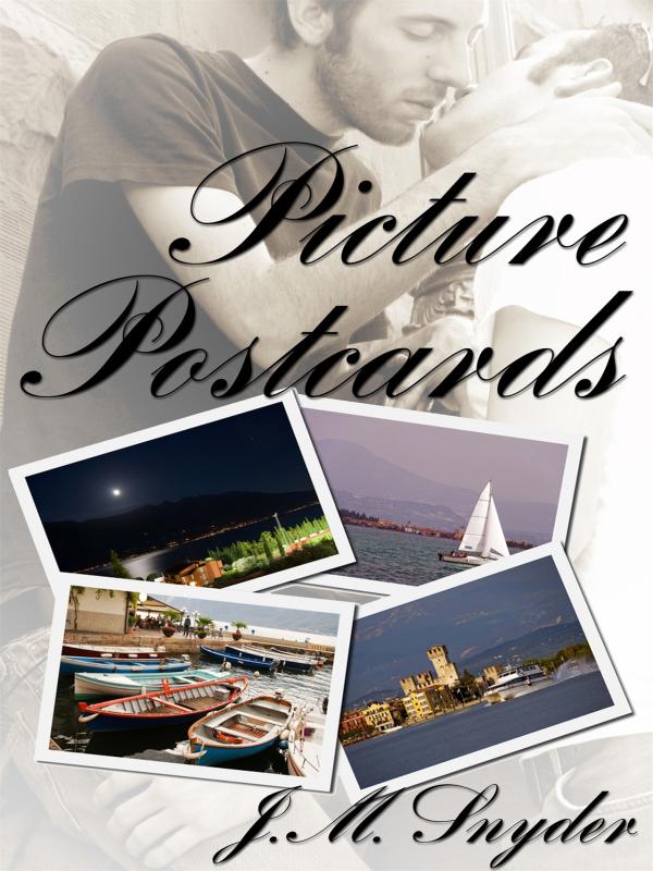 Picture Postcards Book