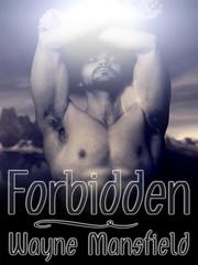 Forbidden Book