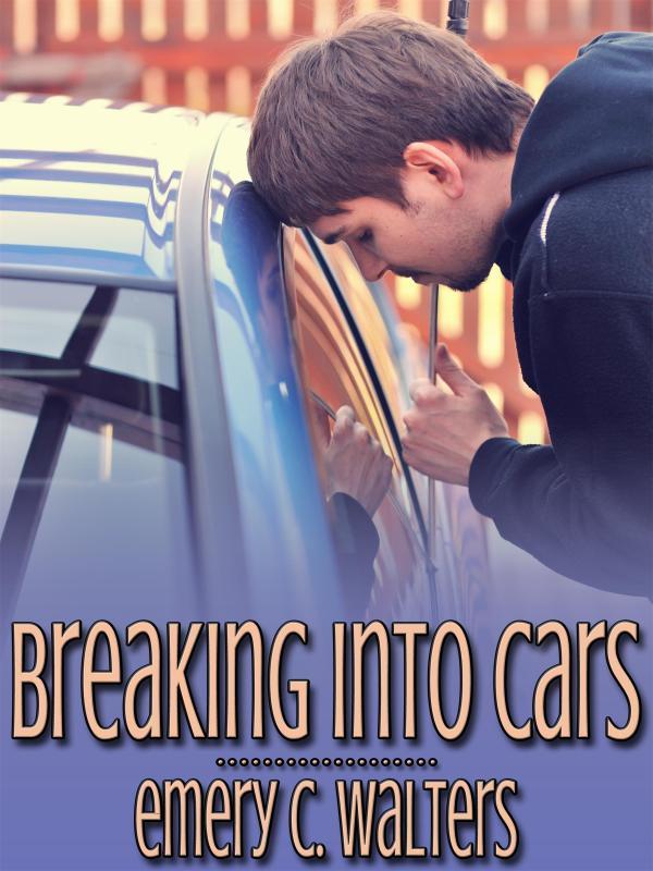 Breaking into Cars Book