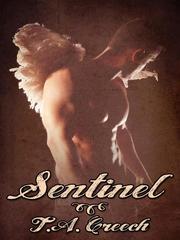 Sentinel Book